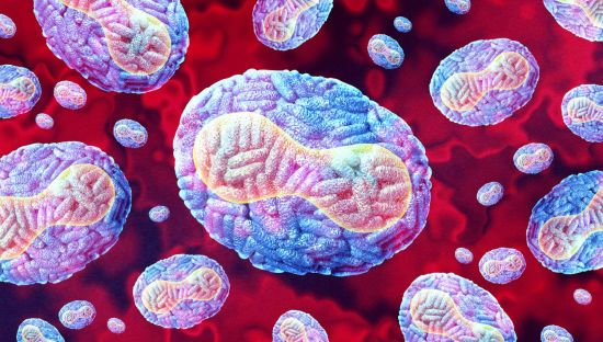 mpox virus - wildpixel / iStock